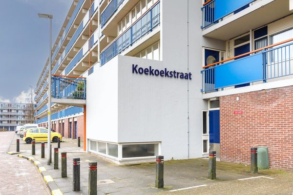 Koekoekstraat 70, Leiderdorp