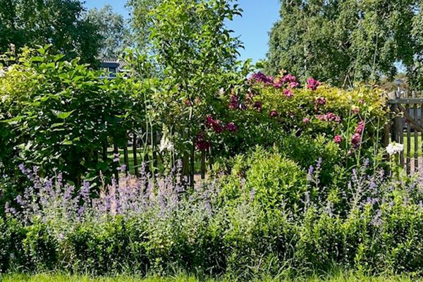 Park Die Leythe 16, Leiden