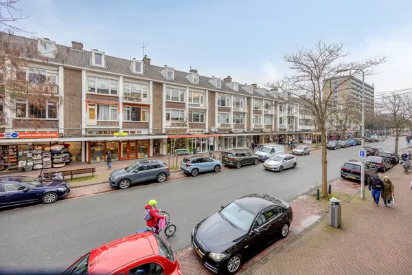 Theresiastraat 103A, Den Haag