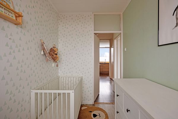 Merendonk 119, Leiden