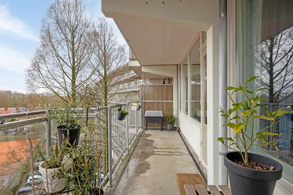 Merendonk 119, Leiden