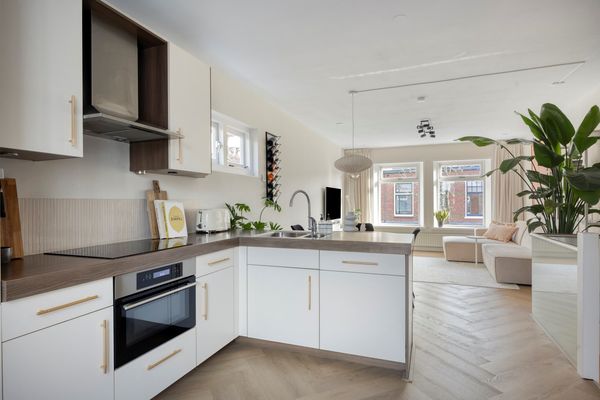 Lage Rijndijk 61, Leiden