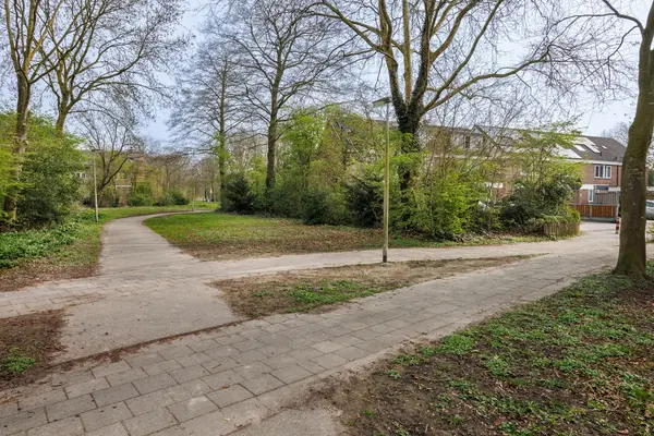 Klimopzoom 91, Leiderdorp