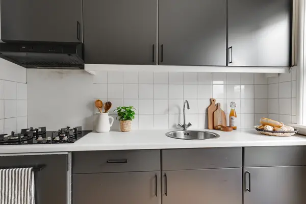 Hoge Rijndijk 94C1, Leiden