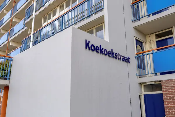 Koekoekstraat 75, Leiderdorp
