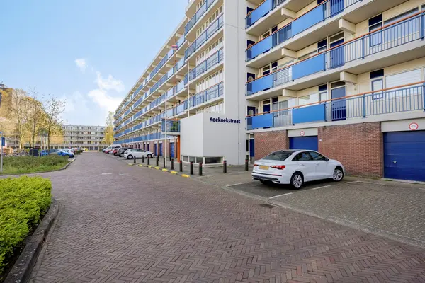 Koekoekstraat 75, Leiderdorp