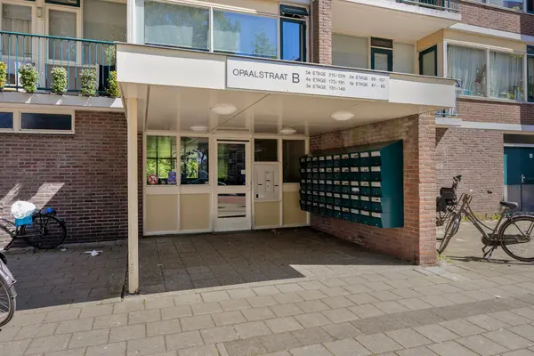 Opaalstraat 215