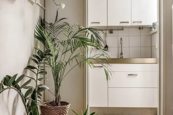 Paul Krugerstraat 9, Leiden