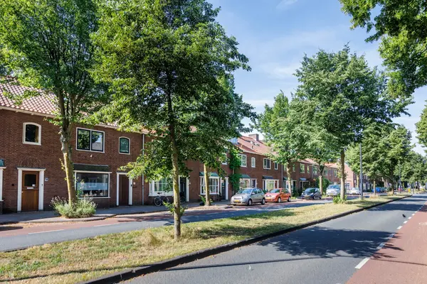 Tomatenstraat 49, Leiden