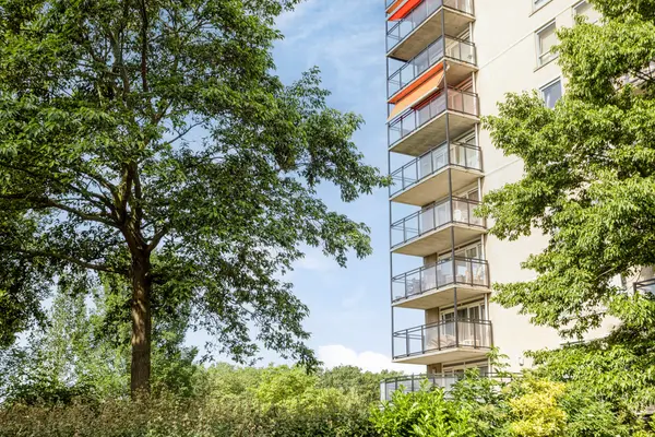 Coebelweg 41, Leiden