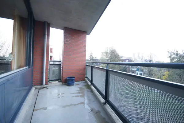 Virulypad 59, Leiden