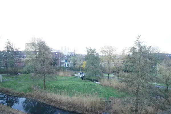 Virulypad 59, Leiden