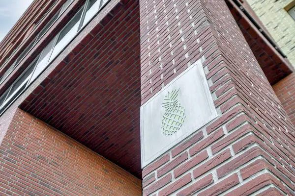 Ananasweg 12, Leiden