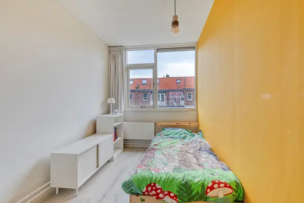 Roemer Visscherstraat 37, Leiden
