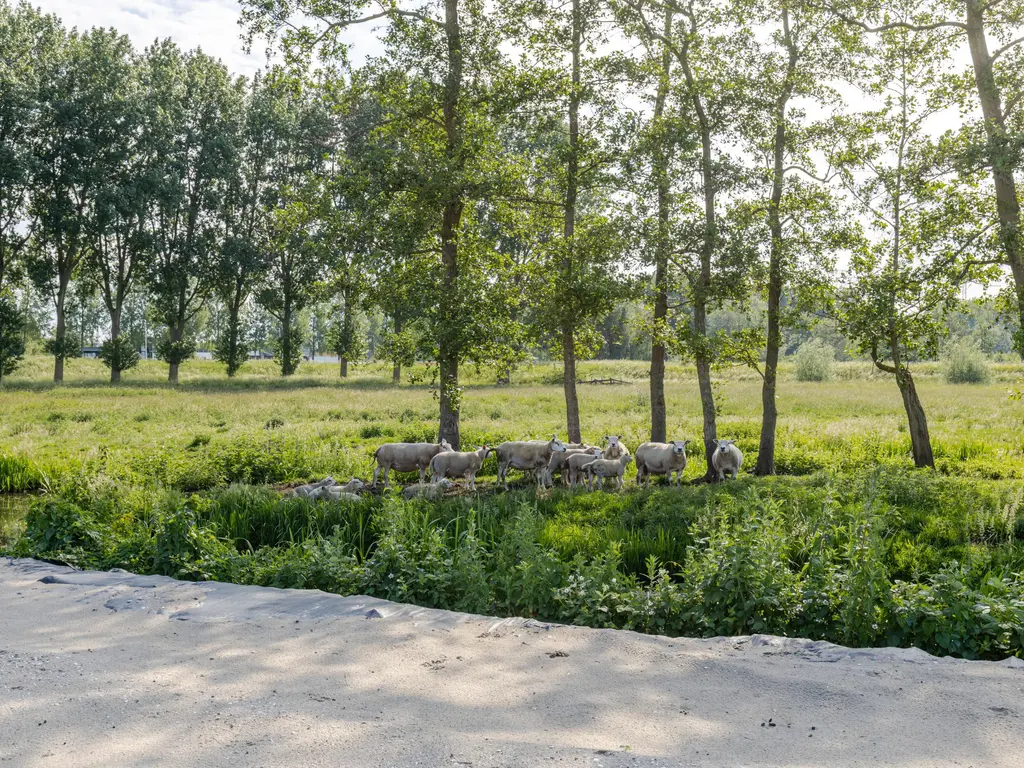 't Weegje , WADDINXVEEN