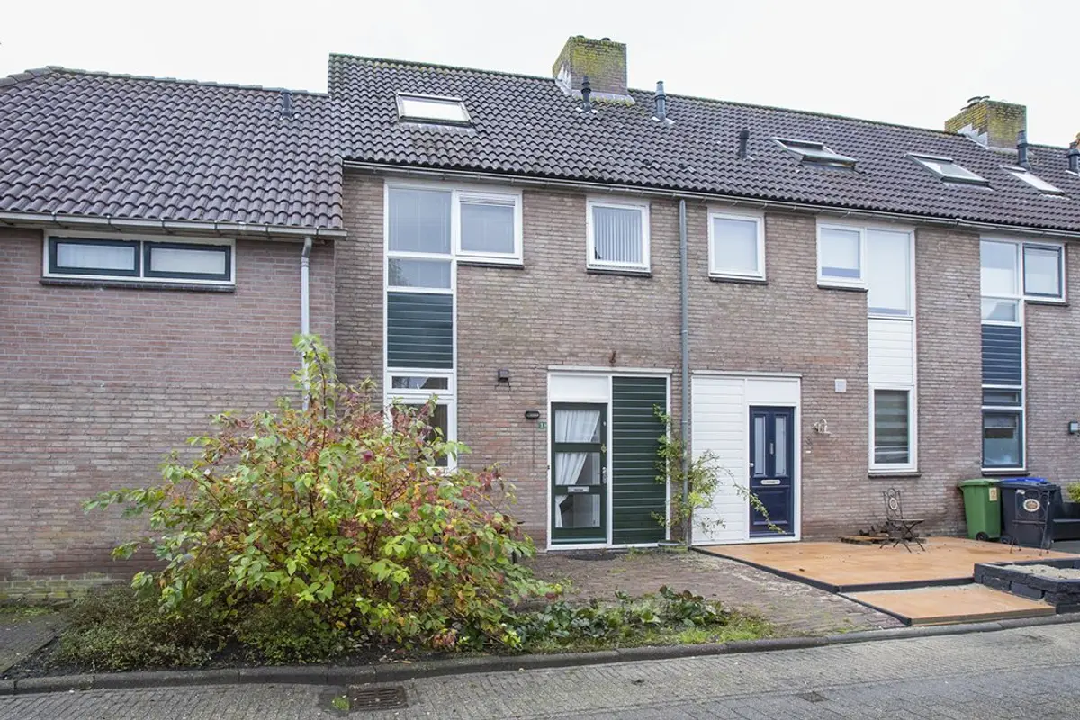 Pinksterbloem 1