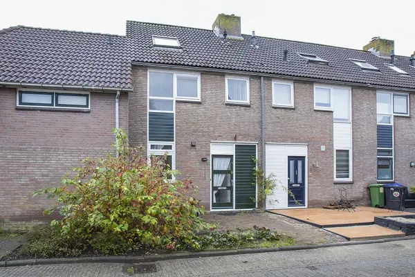 Pinksterbloem 1