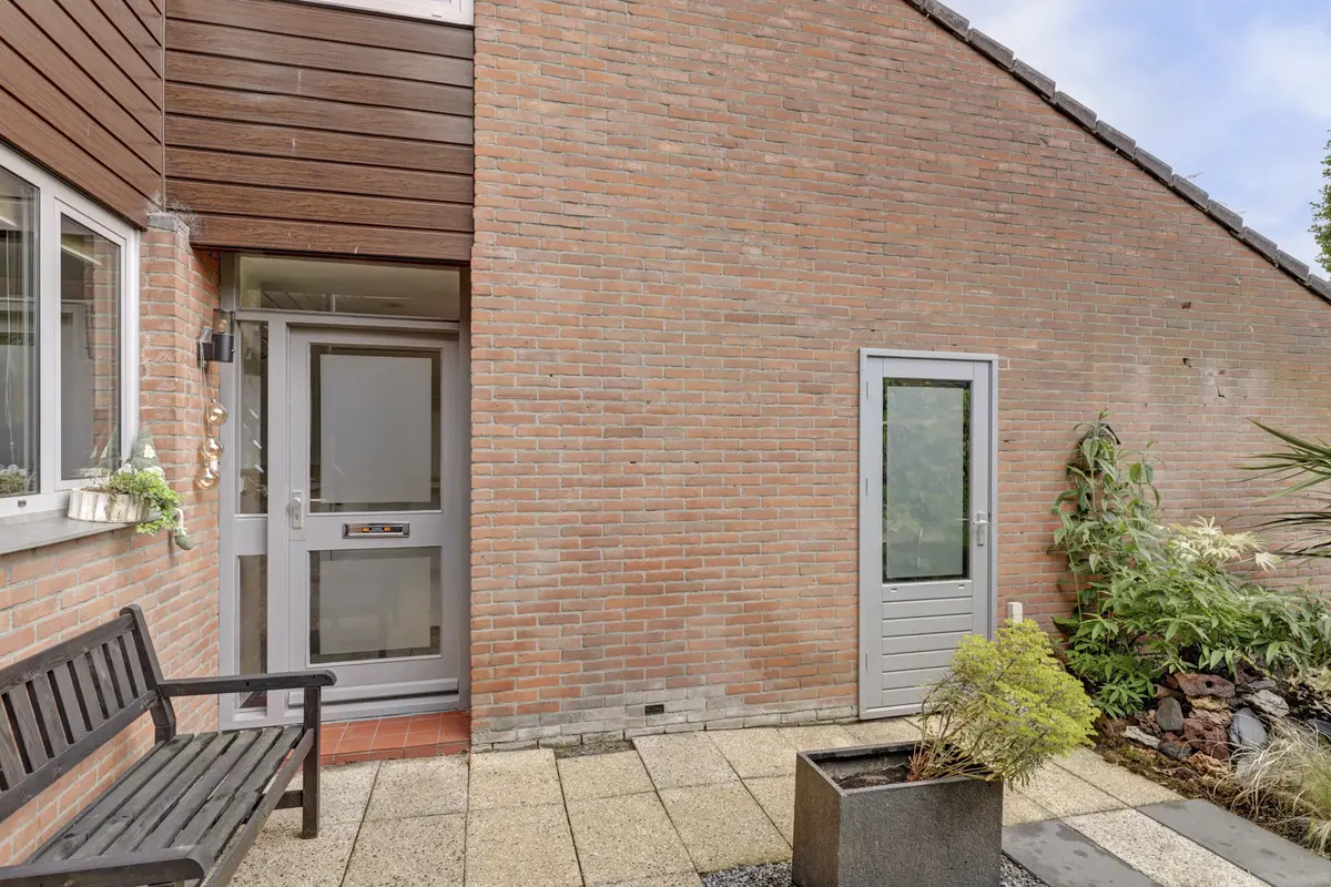 Pijlkruid 4