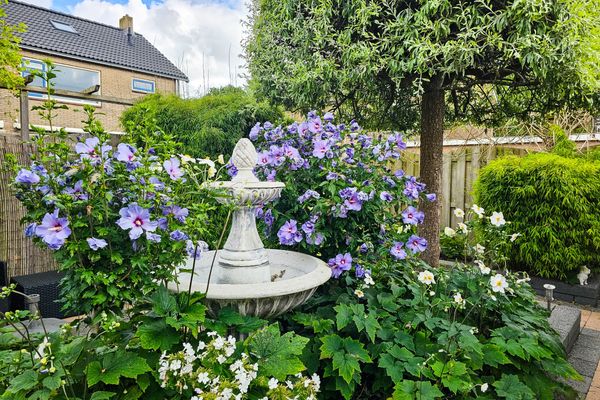 Boerhaavestraat 84, BOVENKARSPEL