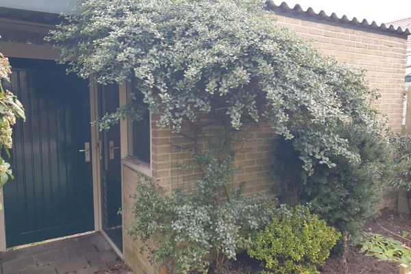 Acaciastraat 4, ENKHUIZEN