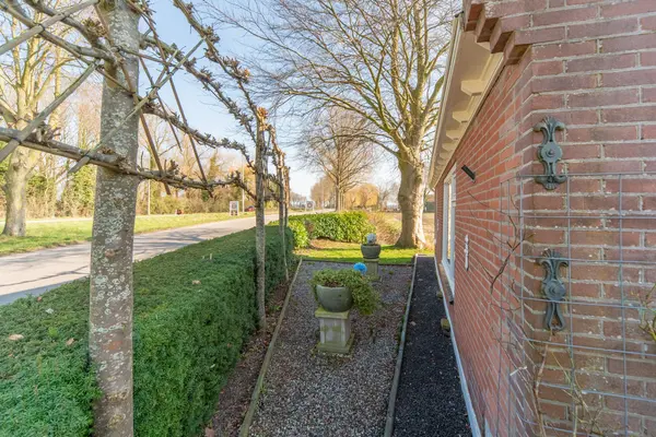 De Hout 31