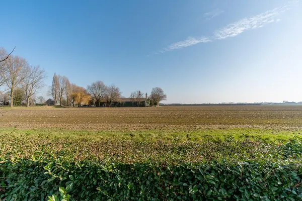De Hout 31, HEM