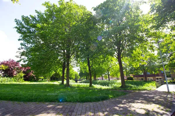 Kap 17, HOORN