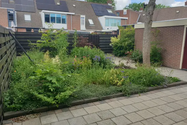 Steker 14, ENKHUIZEN