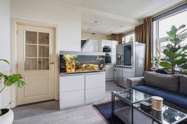 Breezandstraat 31, Den Haag