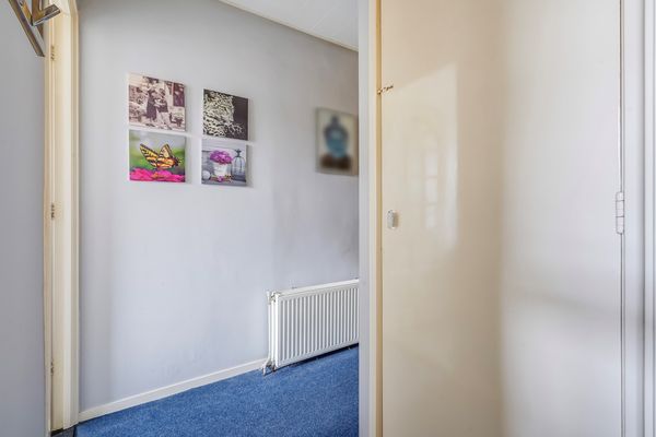 Driebergenstraat 7, Den Haag