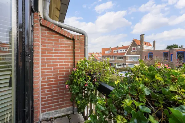 Hasseltsestraat 4, Den Haag