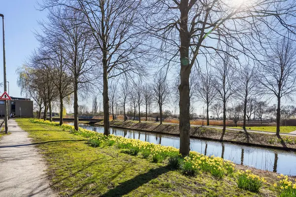 Spectrumsingel 195, Zoetermeer