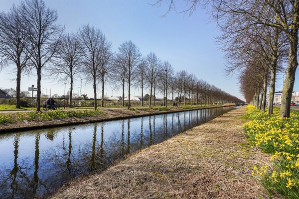 Spectrumsingel 195, Zoetermeer