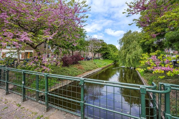 Hazelaarstraat 29, Den Haag