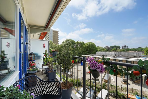 Gradaland 37, Den Haag