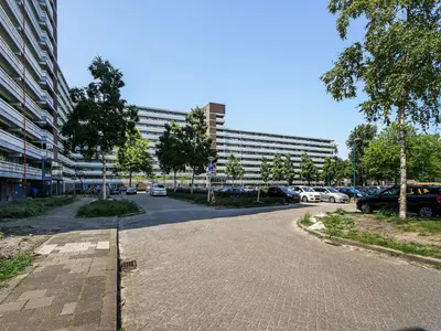 Foto 1 van Belvédèrebos 225