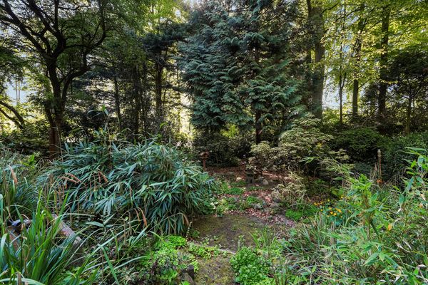 Monsterseweg 15A, Den Haag