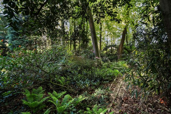 Monsterseweg 15A, Den Haag