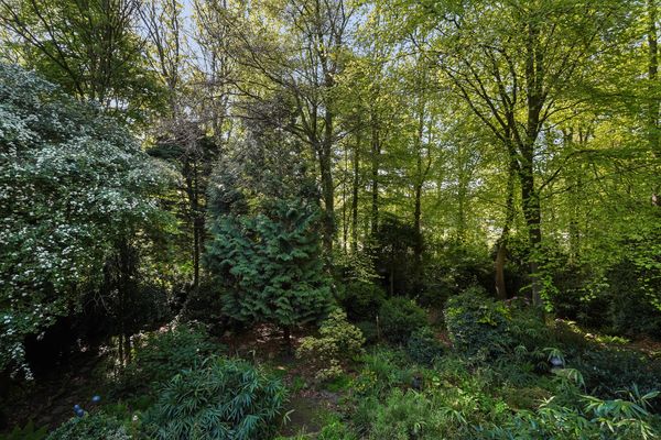 Monsterseweg 15A, Den Haag