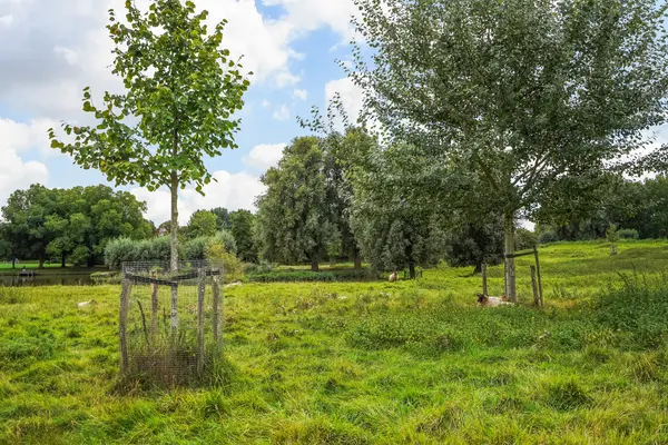Ponyweide 92, Zoetermeer