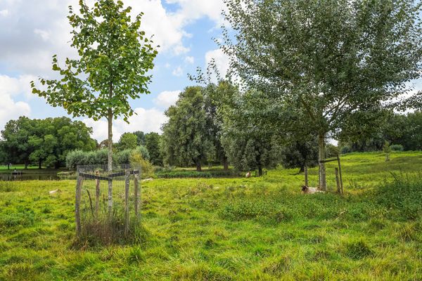 Ponyweide 92, Zoetermeer