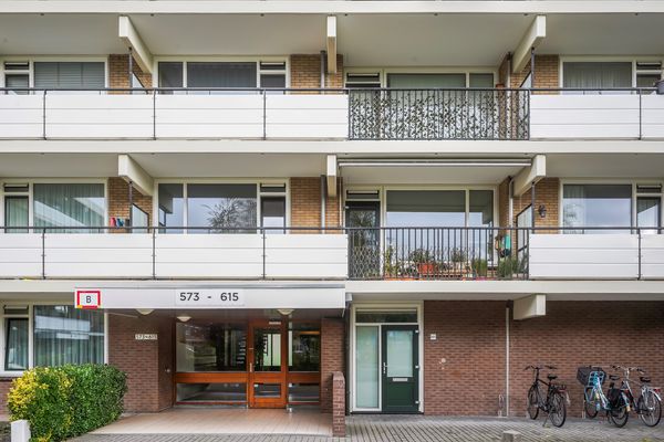 Hammarskjöldlaan 577, Rijswijk