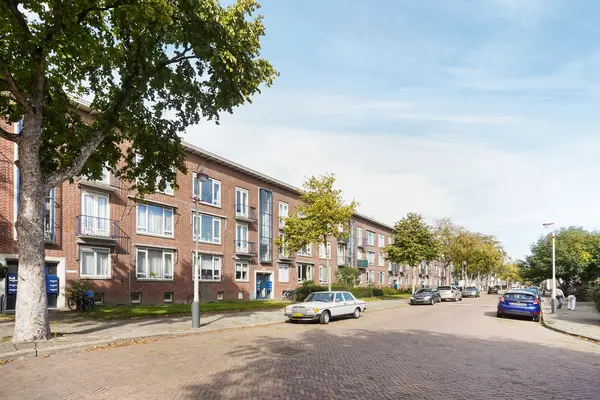Roemer Visscherstraat 447, Den Haag