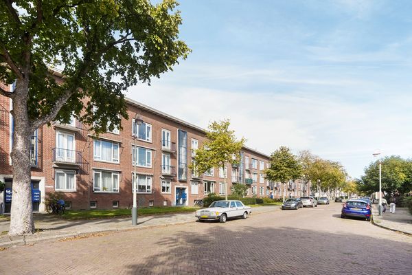 Roemer Visscherstraat 447, Den Haag