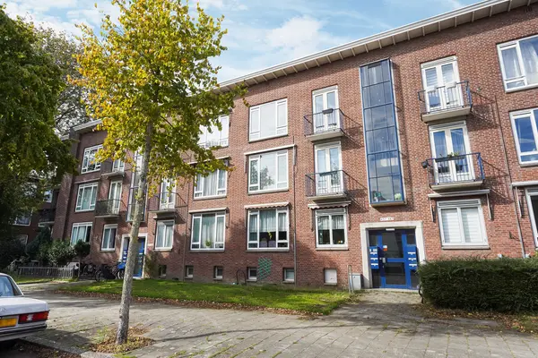 Roemer Visscherstraat 447, Den Haag