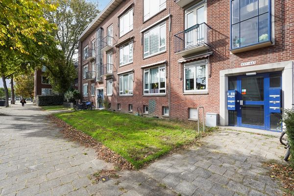 Roemer Visscherstraat 447, Den Haag