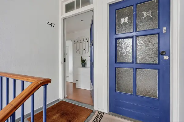 Roemer Visscherstraat 447, Den Haag