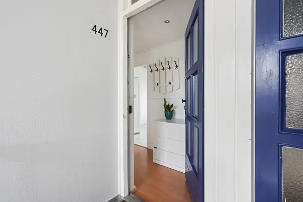 Roemer Visscherstraat 447, Den Haag