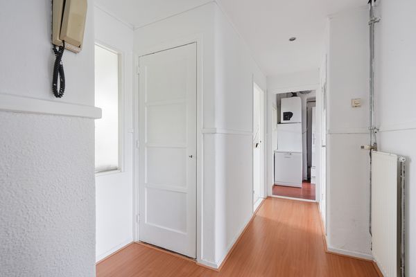 Roemer Visscherstraat 447, Den Haag