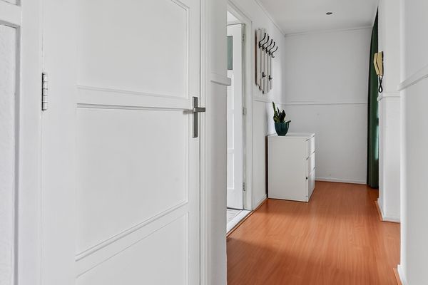 Roemer Visscherstraat 447, Den Haag